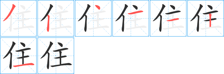 住笔顺分步演示