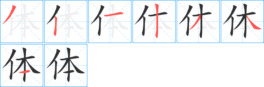 体笔顺分步演示