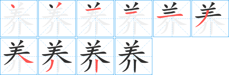 养笔顺分步演示
