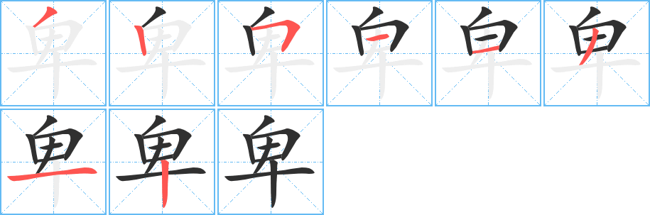 卑笔顺分步演示