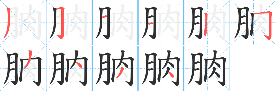 朒笔顺分步演示