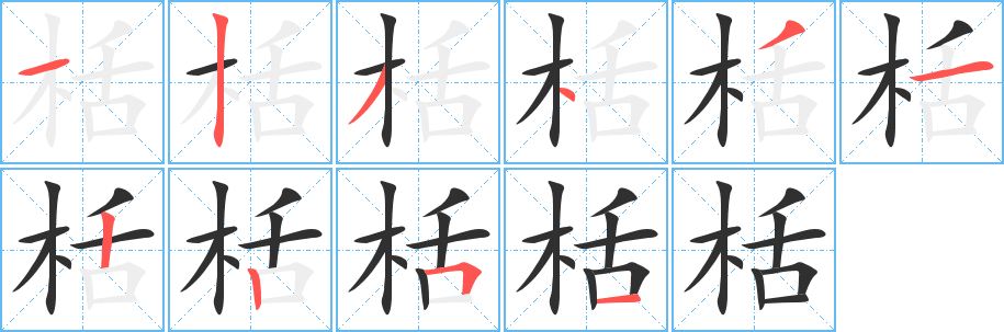 栝笔顺分步演示