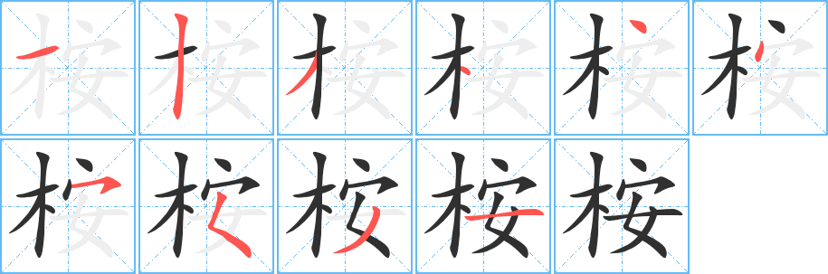 桉笔顺分步演示