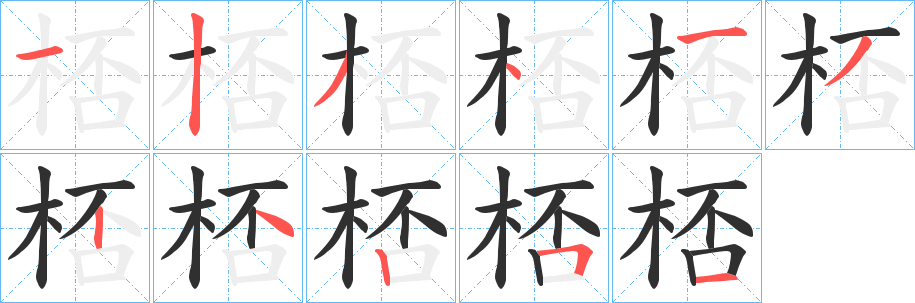 桮笔顺分步演示