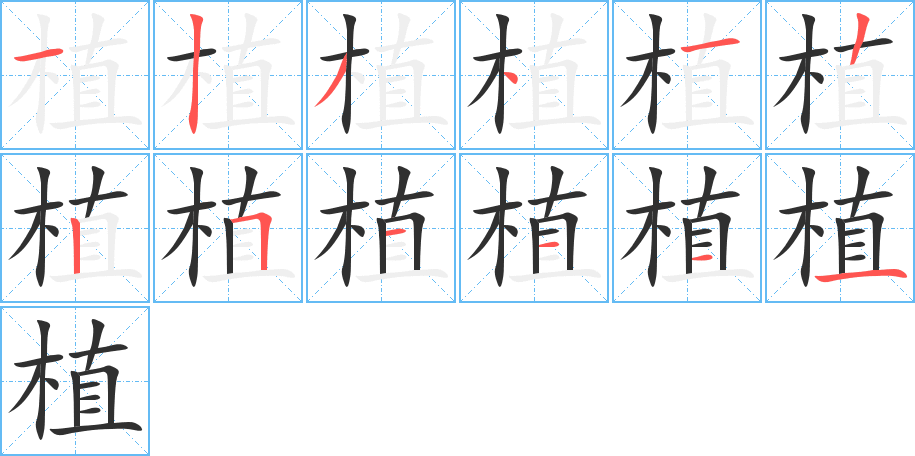 植笔顺分步演示