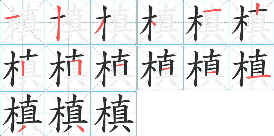 槙笔顺分步演示