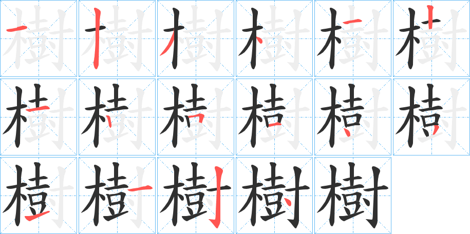 樹笔顺分步演示