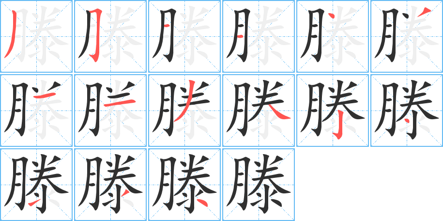 滕笔顺分步演示