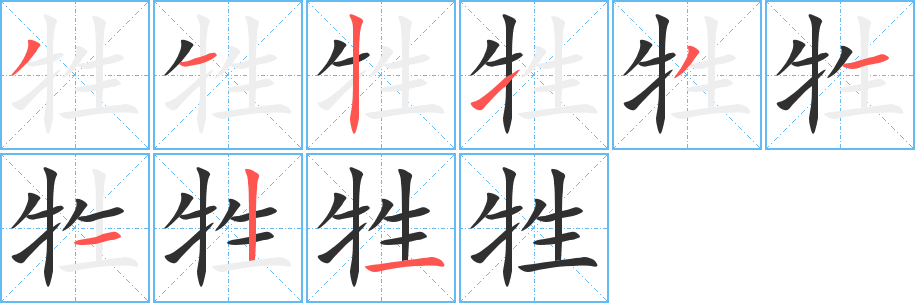 牲笔顺分步演示