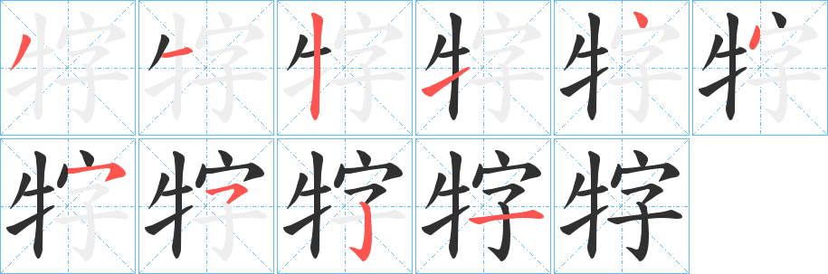 牸笔顺分步演示