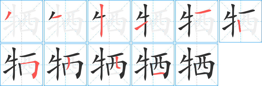 牺笔顺分步演示