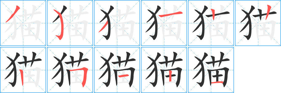 猫笔顺分步演示