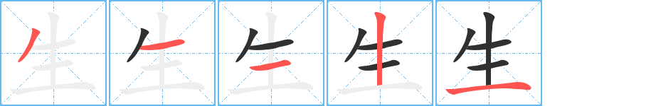 生笔顺分步演示