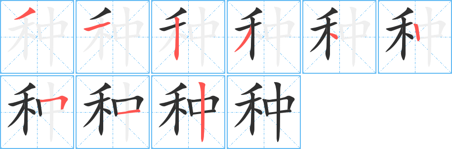 种笔顺分步演示