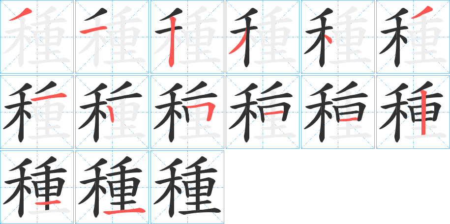 種笔顺分步演示