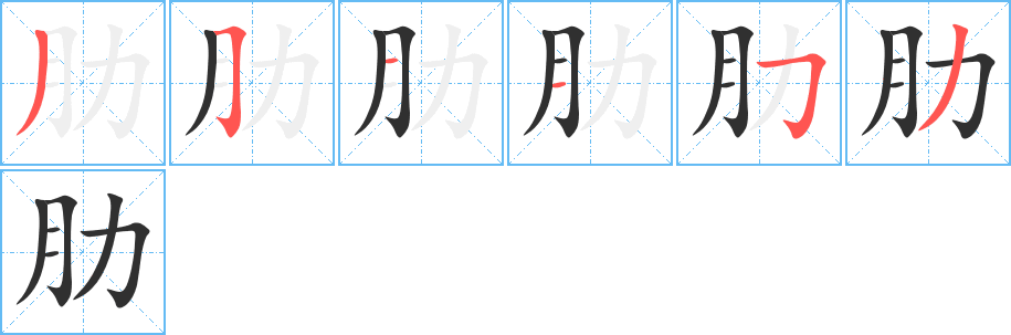 肋笔顺分步演示
