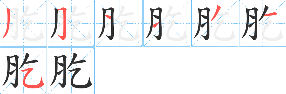 肐笔顺分步演示