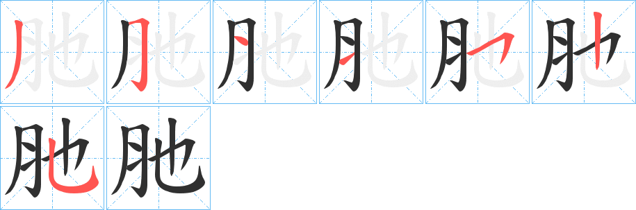 肔笔顺分步演示