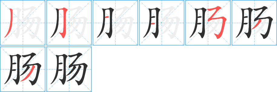 肠笔顺分步演示