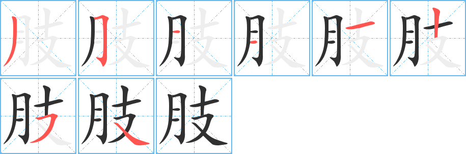 肢笔顺分步演示