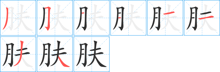 肤笔顺分步演示