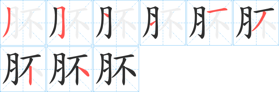肧笔顺分步演示
