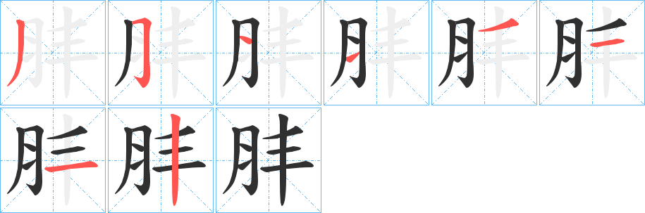 肨笔顺分步演示