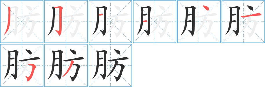 肪笔顺分步演示