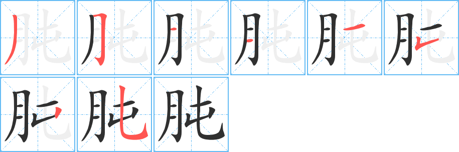 肫笔顺分步演示