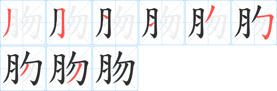 肳笔顺分步演示