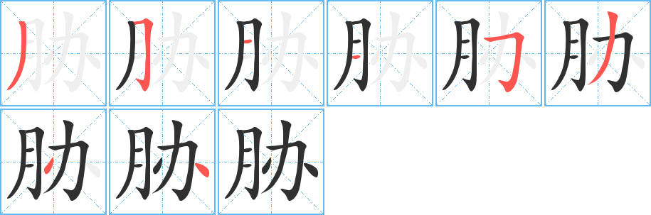 胁笔顺分步演示