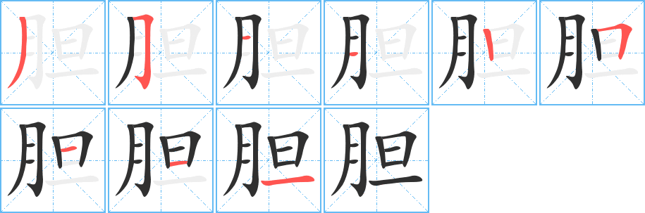 胆笔顺分步演示