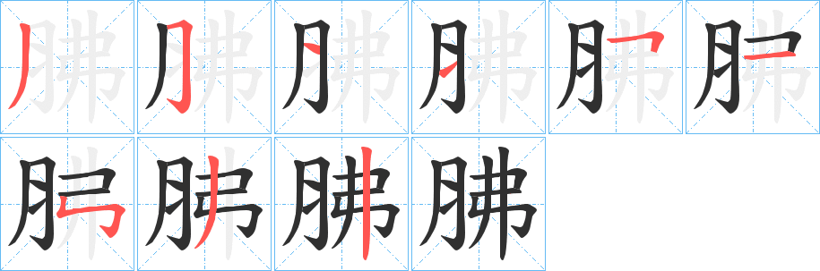 胇笔顺分步演示