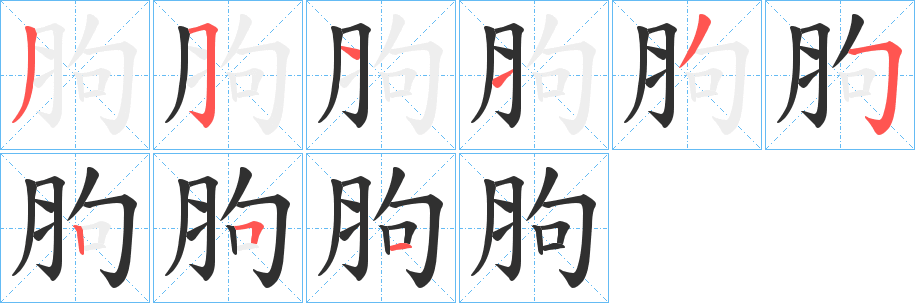 胊笔顺分步演示