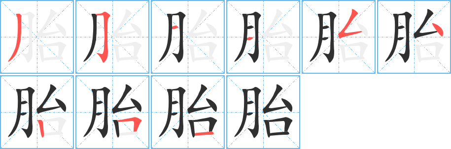 胎笔顺分步演示