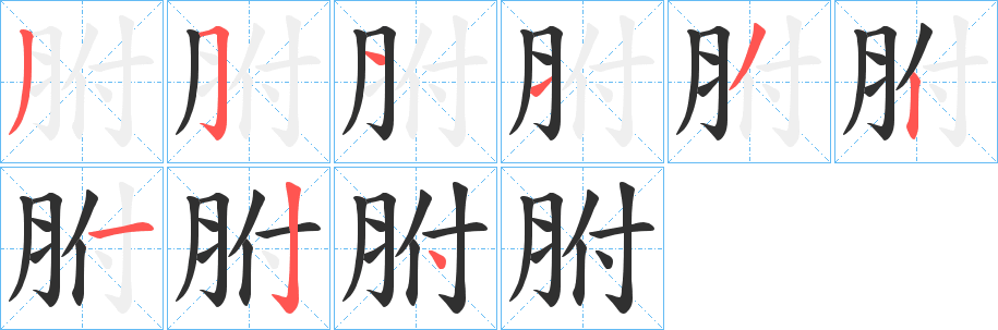 胕笔顺分步演示