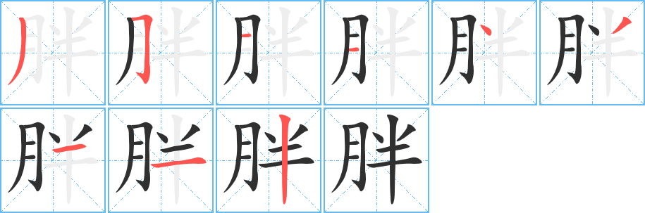 胖笔顺分步演示