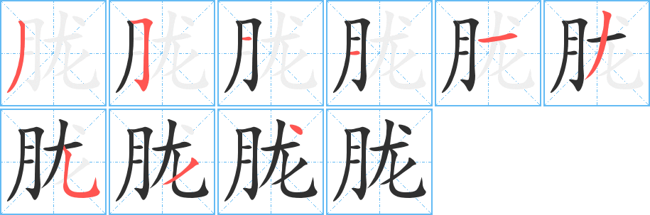 胧笔顺分步演示