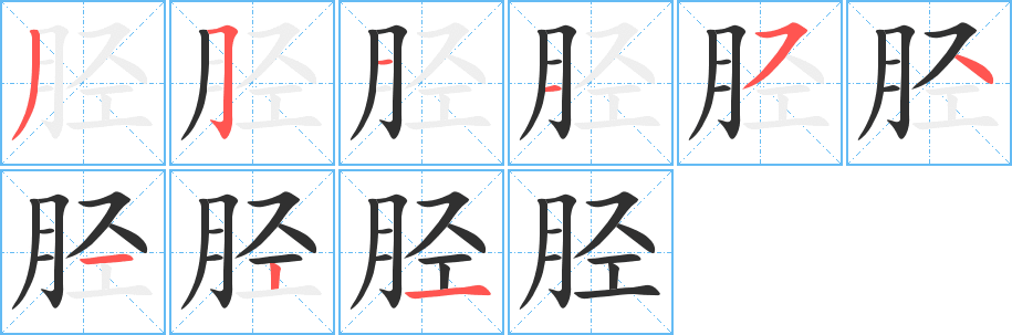 胫笔顺分步演示