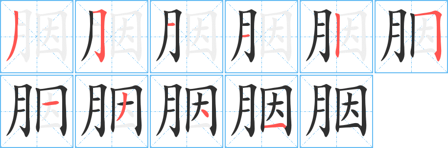 胭笔顺分步演示