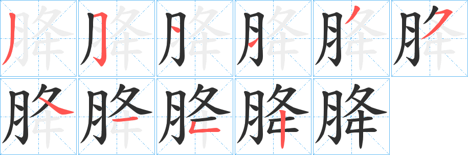 胮笔顺分步演示
