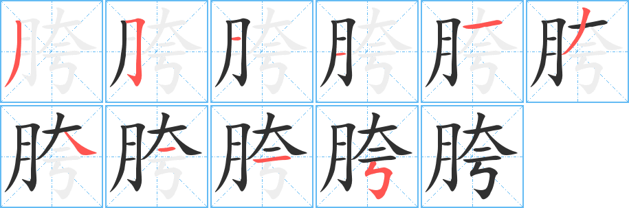 胯笔顺分步演示