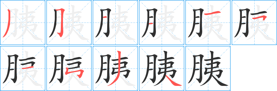 胰笔顺分步演示