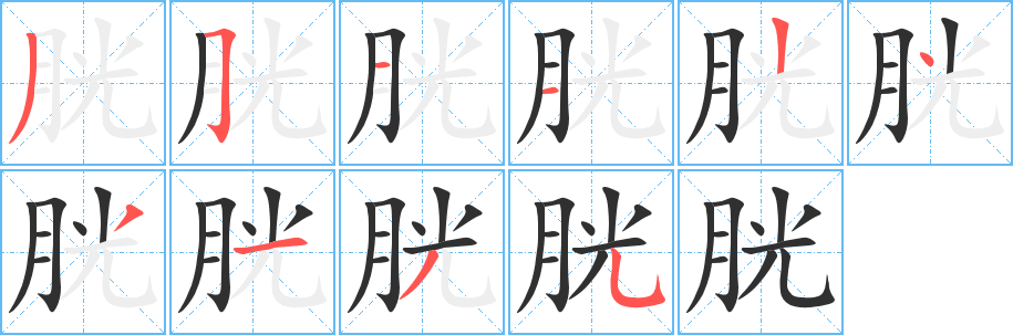 胱笔顺分步演示