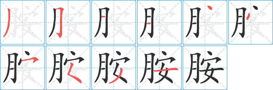 胺笔顺分步演示
