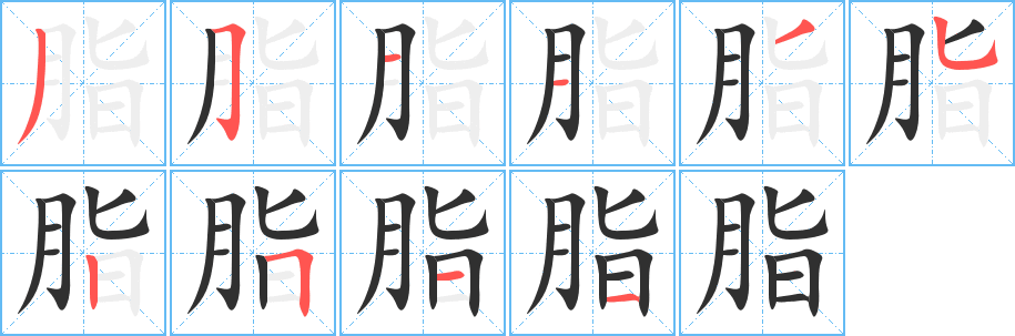 脂笔顺分步演示