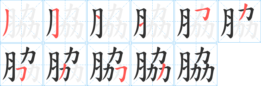 脇笔顺分步演示