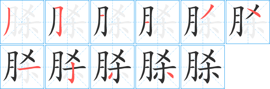 脎笔顺分步演示