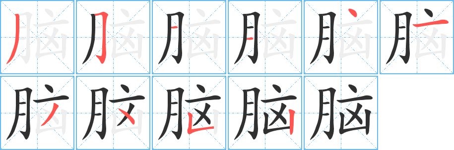 脑笔顺分步演示