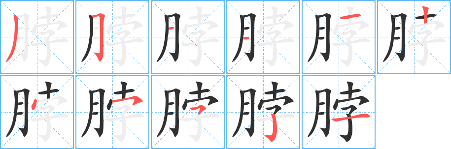 脖笔顺分步演示